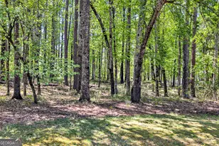1010 Troon Ct, Greensboro, GA 30642 - Photo 11