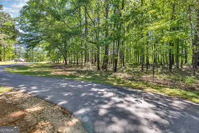 1010 Troon Court, Greensboro, GA 30642 - Photo 9