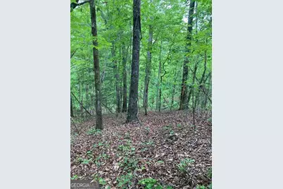 0 Crest View Drive, Dahlonega, GA 30533 - Photo 7