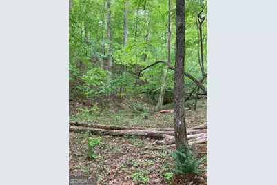 0 Crest View Drive, Dahlonega, GA 30533 - Photo 13