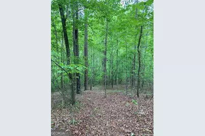 0 Crest View Drive, Dahlonega, GA 30533 - Photo 5