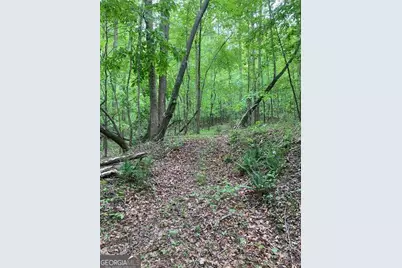 0 Crest View Drive, Dahlonega, GA 30533 - Photo 11