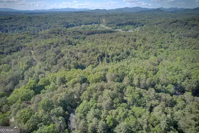 218 Bench Leg Road, Mineral Bluff, GA 30559 - Photo 25