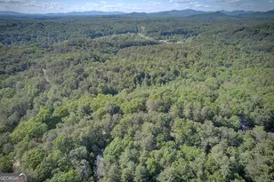 218 Bench Leg Rd, Mineral Bluff, GA 30559 - Photo 25