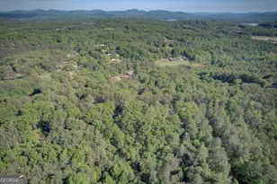 218 Bench Leg Rd, Mineral Bluff, GA 30559 - Photo 27