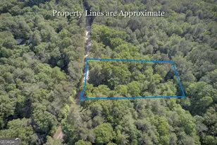 218 Bench Leg Rd, Mineral Bluff, GA 30559 - Photo 29