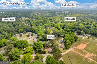 109 Reynolds Drive, Greensboro, GA 30642 - Photo 27