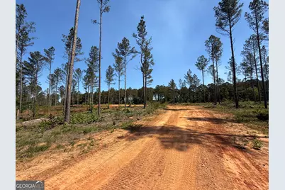 3 Lexington Estates, Lexington, GA 30648 - Photo 13