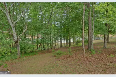 157 Nelle Drive, Hartwell, GA 30643 - Photo 51