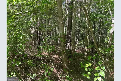 2A Clower Drive, Bowdon, GA 30108 - Photo 13