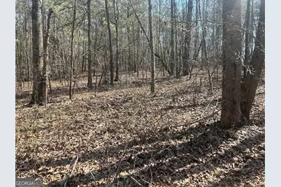 2A Clower Drive, Bowdon, GA 30108 - Photo 3