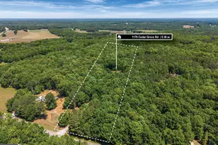 1170 Cedar Grove Rd, Buckhead, GA 30625 - Photo 51