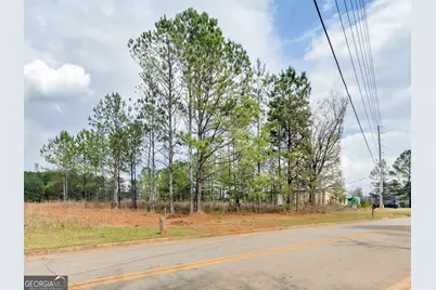 0 County Farm Road, Zebulon, GA 30295 - Photo 5
