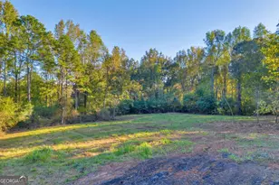4638 Hwy 63, Carnesville, GA 30521 - Photo 11
