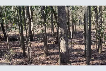 0 Roosevelt Highway, Warm Springs, GA 31830 - Photo 3