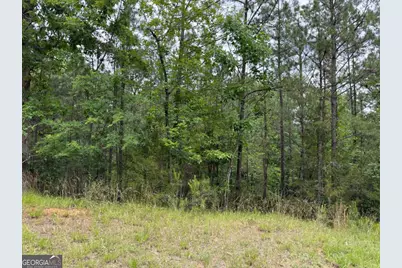 0 Bramlett Cir, Elberton, GA 30635 - Photo 3