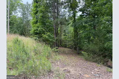 0 Bramlett Cir, Elberton, GA 30635 - Photo 5