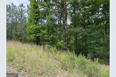 Lot 51 Bramlett Cr, Elberton, GA 30635 - Photo 3