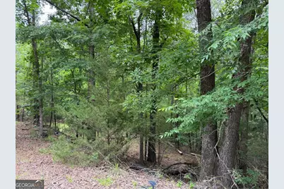 Lot 51 Bramlett Cr, Elberton, GA 30635 - Photo 1