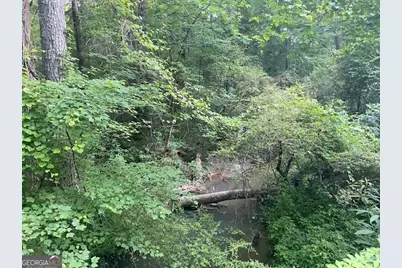 0 Standing Rock Road, Senoia, GA 30276 - Photo 7