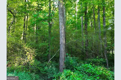 0 Standing Rock Road, Senoia, GA 30276 - Photo 17