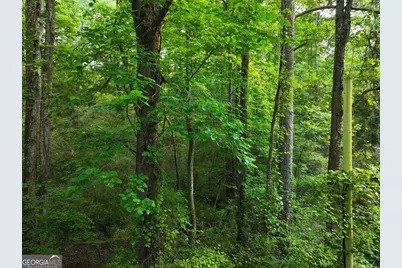 0 Standing Rock Road, Senoia, GA 30276 - Photo 15