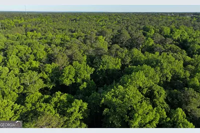 0 Standing Rock Road, Senoia, GA 30276 - Photo 3