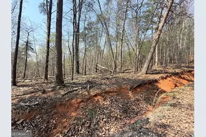 Lot 202 Baldwin Heights Road, Baldwin, GA 30511 - Photo 1