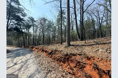 Lot 202 Baldwin Heights Road, Baldwin, GA 30511 - Photo 3