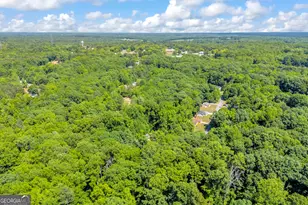 344 Autumn Dr, Nicholson, GA 30565 - Photo 47