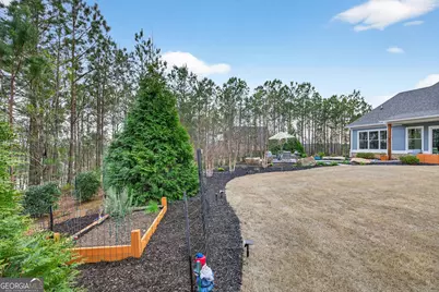 61 Forest Berry Court, Newnan, GA 30265 - Photo 61