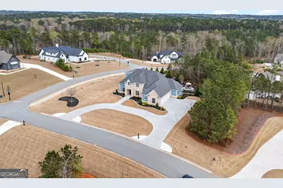 61 Forest Berry Court, Newnan, GA 30265 - Photo 67