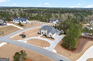 61 Forest Berry Ct, Newnan, GA 30265 - Photo 67