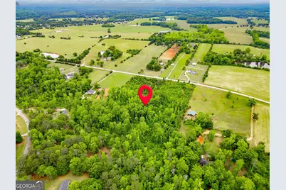 1395 Rover Zetella Road, Williamson, GA 30292 - Photo 5