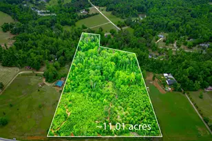 1395 Rover Zetella Rd, Williamson, GA 30292 - Photo 1