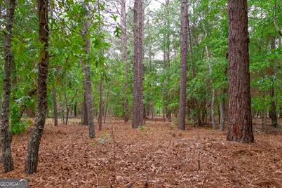 0 Chance Road, Girard, GA 30426 - Photo 13