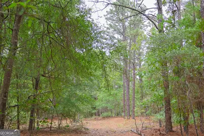 0 Chance Road, Girard, GA 30426 - Photo 9