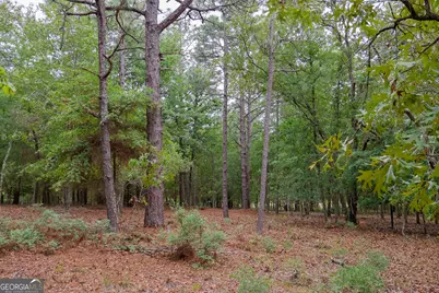 0 Chance Road, Girard, GA 30426 - Photo 15