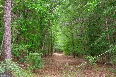 0 Chance Road, Girard, GA 30426 - Photo 7