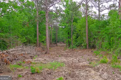 0 Chance Road, Girard, GA 30426 - Photo 23