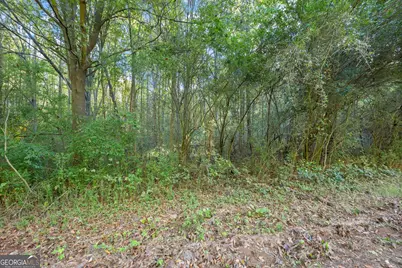 0 Caney Branch, Lavonia, GA 30553 - Photo 21