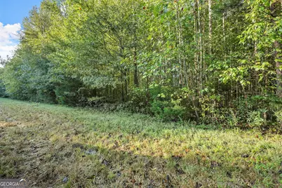 0 Caney Branch, Lavonia, GA 30553 - Photo 19