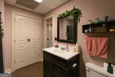 190 Carl Williams Road, Senoia, GA 30276 - Photo 65