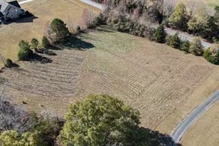 190 Carl Williams Rd, Senoia, GA 30276 - Photo 91