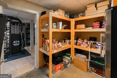 190 Carl Williams Road, Senoia, GA 30276 - Photo 53