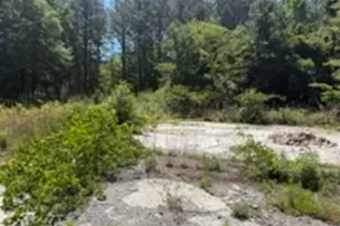 2137 Joy Lake Rd, Morrow, GA 30260 - Photo 1