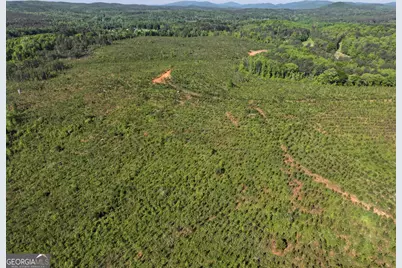 118 +/- Acres On Lumpkin Road, Cedartown, GA 30125 - Photo 17