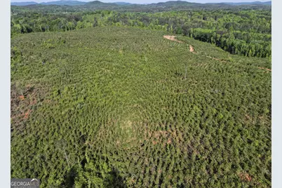 118 +/- Acres On Lumpkin Road, Cedartown, GA 30125 - Photo 13