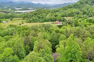 325 Walnut Mountain Rd, Rabun Gap, GA 30568 - Photo 37