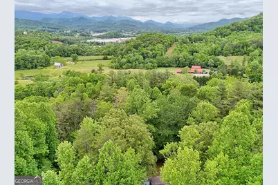 325 Walnut Mountain Road, Rabun Gap, GA 30568 - Photo 39